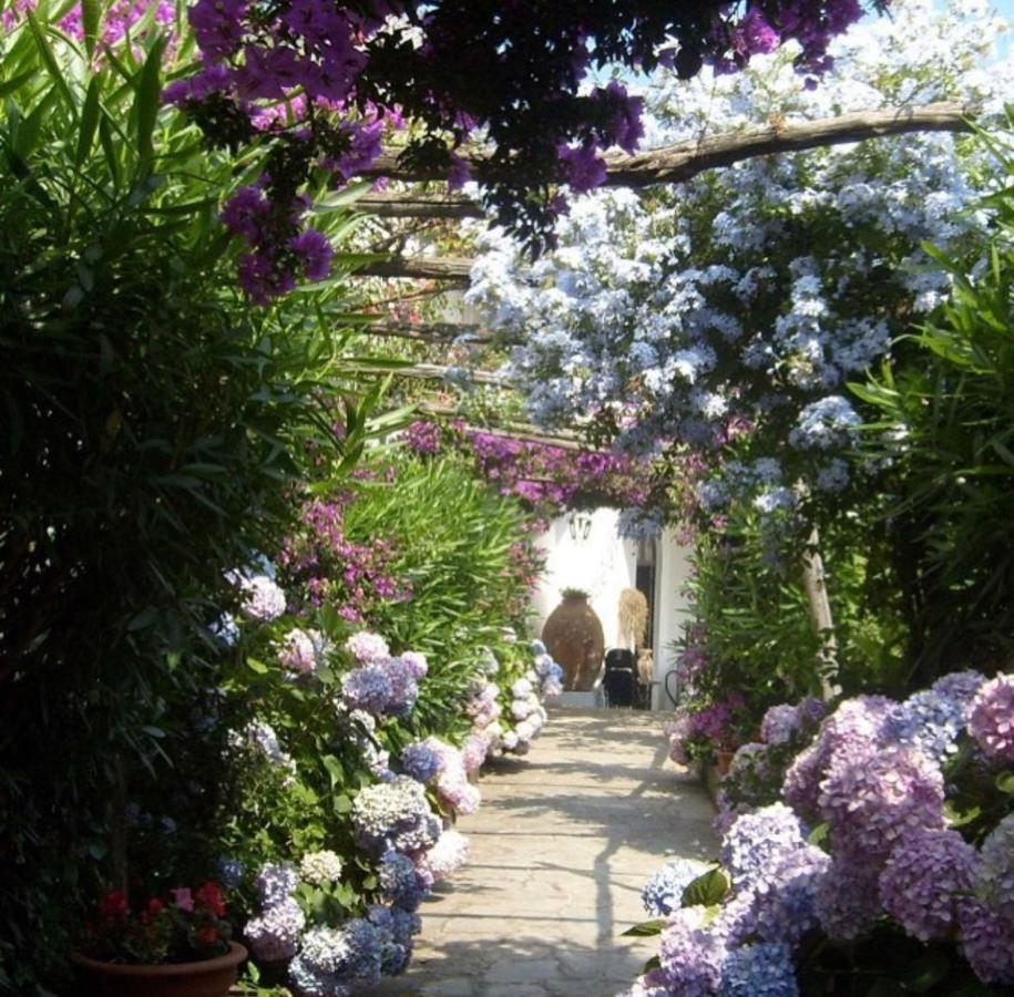 Marunnella Suites Κάπρι Εξωτερικό φωτογραφία