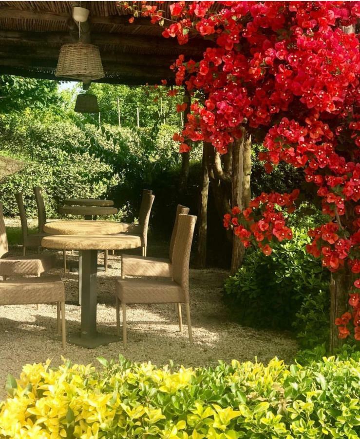 Marunnella Suites Κάπρι Εξωτερικό φωτογραφία